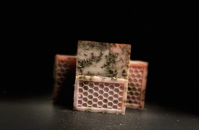 Coconut Lavender Dreams (Botanical Soap)