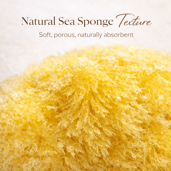 {{product_title}} – Natural {{product_type}} for Healthy {{target_area}} | Bee Nature's Essence