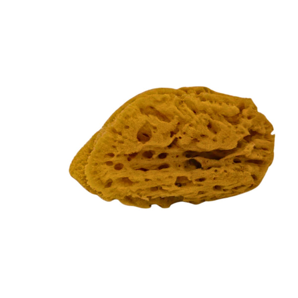 {{product_title}} – Natural {{product_type}} for Healthy {{target_area}} | Bee Nature's Essence