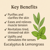 {{product_title}} – Natural {{product_type}} for Healthy {{target_area}} | Bee Nature's Essence