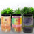 {{product_title}} – Natural {{product_type}} for Healthy {{target_area}} | Bee Nature's Essence